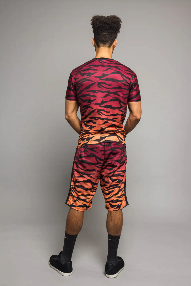 Dip Dye Gradient Tiger Set - Image 13