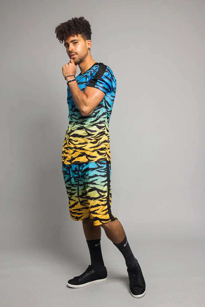 Dip Dye Gradient Tiger Set - Image 7