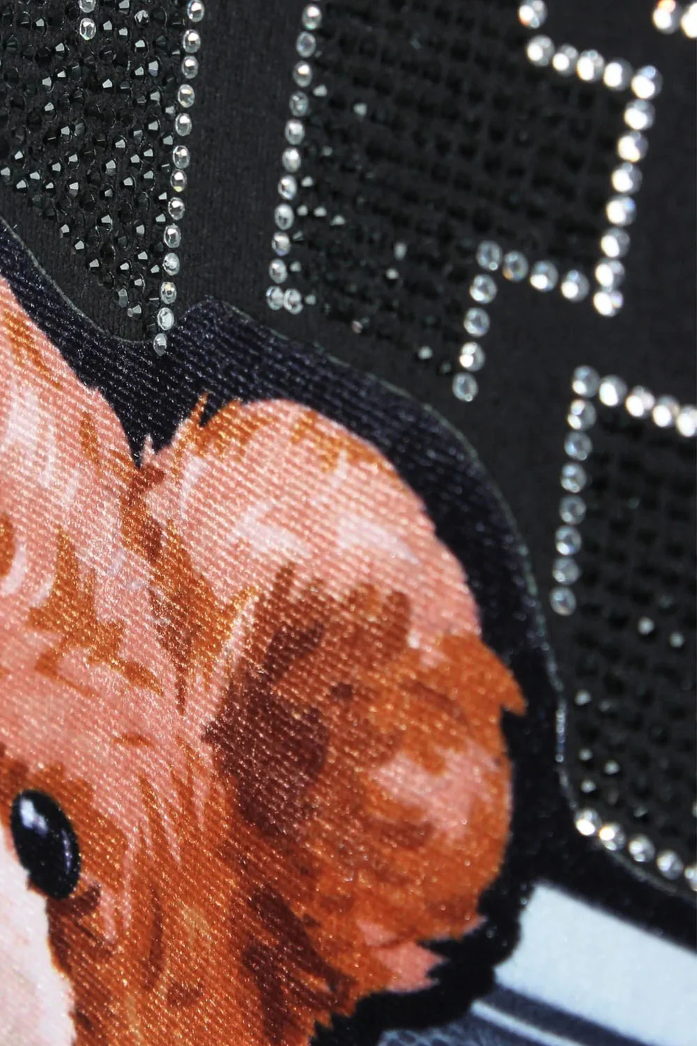 Money Stacks Crystal Embellished Bear T-Shirts - Image 2